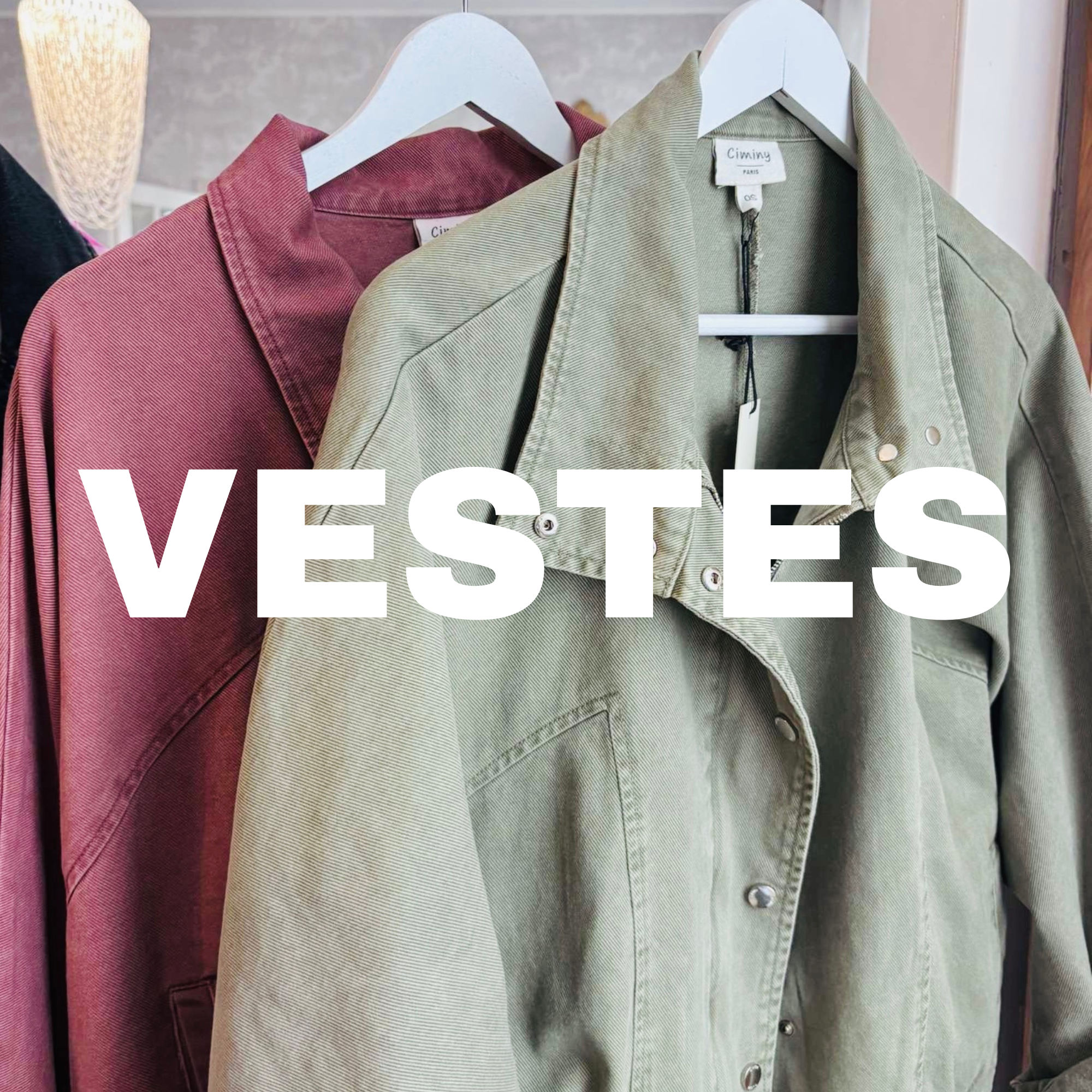 Vestes